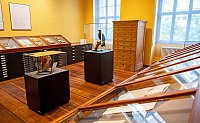 Blick in den Ausstellungsraum.
Quelle: Universitätsmedizin Halle